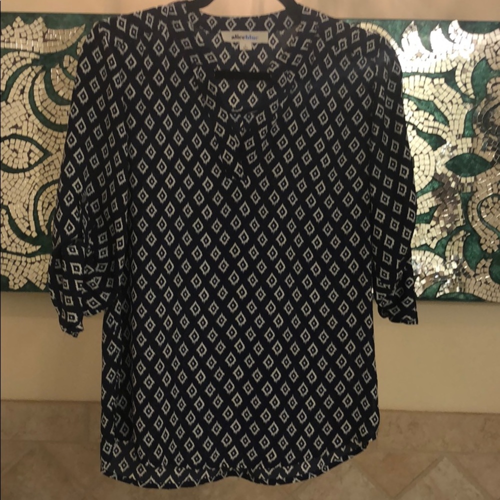 Aliceblue blouse